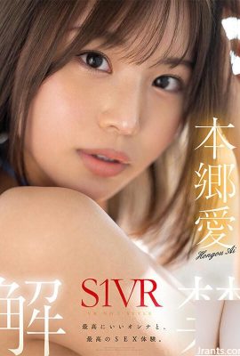 (동경) 혼고 아이 VR NO1 STYLE 혼고 아이 S1VR 금지 (22P)