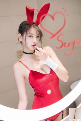 매력적인 자태의 섹시한 미녀 바니걸 (24P)