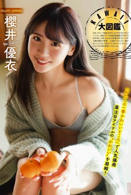 (사쿠라이 유이) 미인의 완벽한 가슴 모양, 하얗고 통통한 모습이 너무 멋지다 (9P)