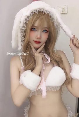 DreamlikeUwU – 흰토끼 (59P)