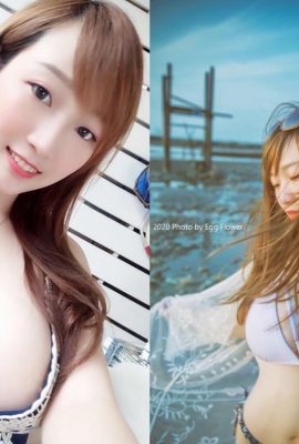 신선하고 전염성이 강한 약사—Jia 지아ng Xinrong (17P)