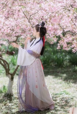 아이탕 칭 싱슈 (26p)