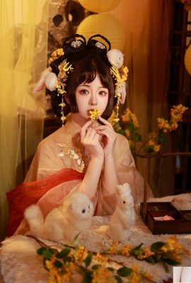 중반 축제에서 사랑하지 않는 Hehe Meow (27p)