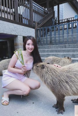 Bornt to Beautiful (Marienn_Yang”웹 사이트는 요정에 지구로 내려 오는 전화 (25p)