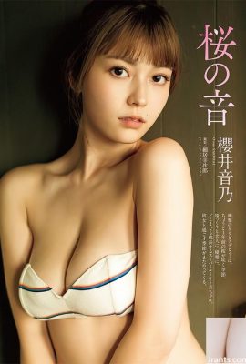 새해 복 많이 받으세요 ~ 사쿠라이 소녀의 우아한 인물 (68p)을 참조하십시오.