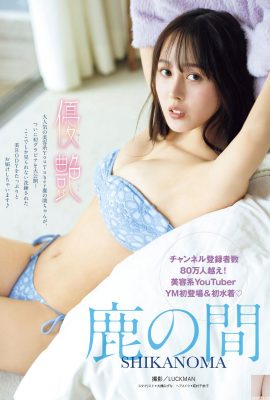 (사슴의 날) 우아한 S 커브는 모든 사람의 합리적 라인에 도전합니다 (16p)