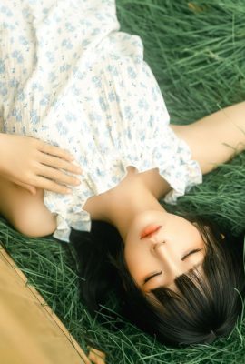 애니메이션 – 멍청한 모모 우드 박스 (18p)