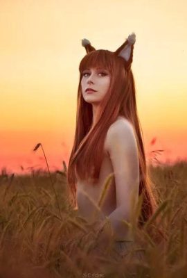 (Kyriefox) Holo (42p)