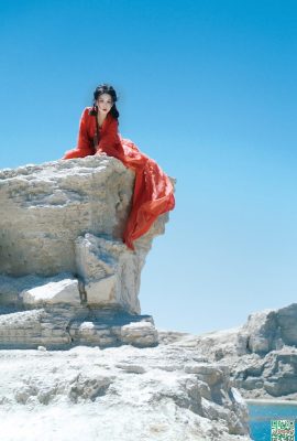 작은 껍질에서 공생 적으로 공존하는 온유와 외로움을 포기하지 마십시오 (18p)