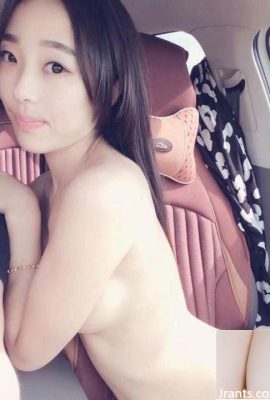 자동차 충격을 좋아하는 소녀 (12p)