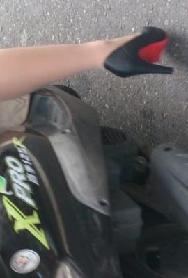 보물 실크 (42p)도 찾을 수 있습니다.