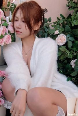 옆집 “Eve Butterfly”는 꽤 눈길을 끄는 것입니다 (10p)