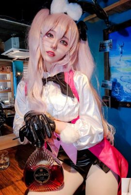 BLI 네트워크 컬렉션 (98P)