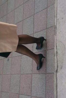 OL은 426 버스 (39p)를 원합니다.