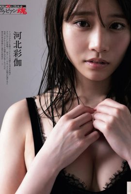 (Hebei Caijia) 뜨거운 여신의 눈은 매력적이고 섹시합니다 (10p)