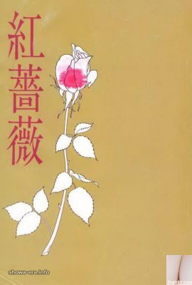 Ura-Books Red Rose의 포르노 스타 (59p)