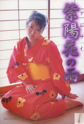 Urabon-Books Hydrangea Rain의 포르노 스타 (52p)